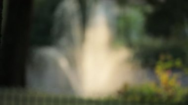 beautiful view of fountain at summer city park