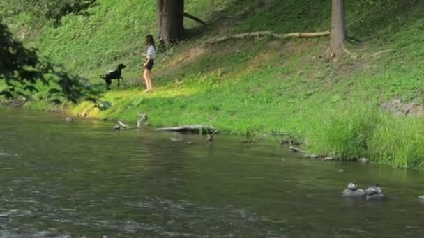 Young Girl Dog Walking River — Stockvideo