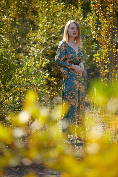 Piękna Młoda Kobieta Niebieskiej Sukience Pozująca Parku — Zdjęcie stockowe