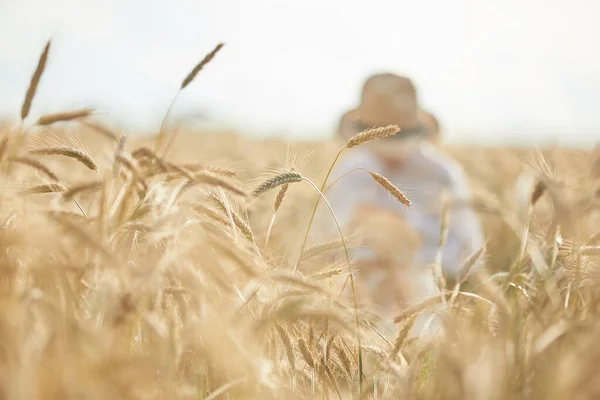 Zblízka Pšeničných Uší Pozadí Žitného Pole — Stock fotografie