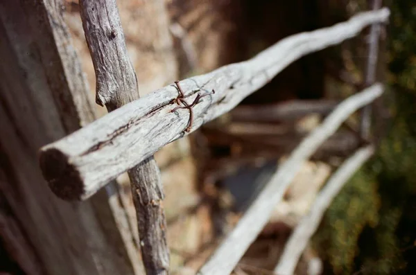 Kütüklerden Yapılmış Ahşap Çitler — Stok fotoğraf