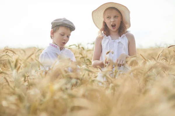 Portrét Šťastného Chlapce Dívky Kloboucích Stojící Pšeničném Poli — Stock fotografie