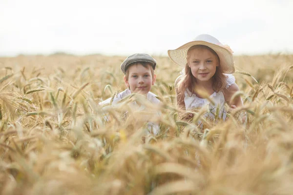 Portrét Šťastného Chlapce Dívky Kloboucích Stojící Pšeničném Poli — Stock fotografie