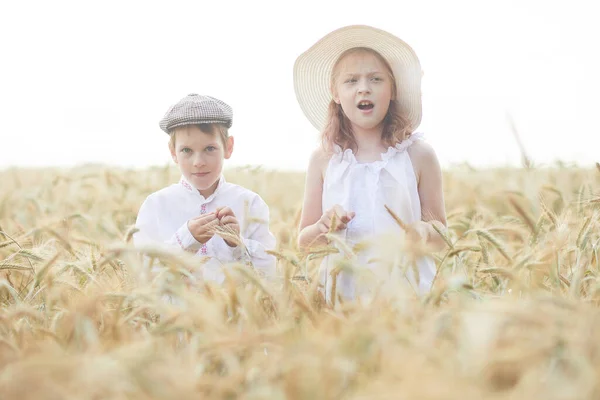 小麦畑に立つ帽子の幸せな男の子と女の子の肖像 — ストック写真
