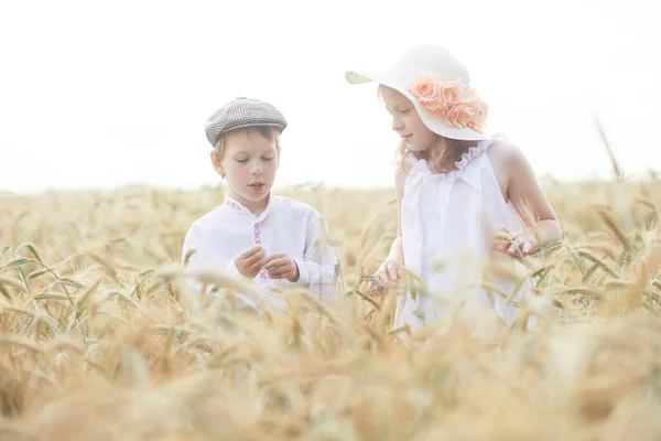 Porträt Von Glücklichen Jungen Und Mädchen Mit Hüten Die Weizenfeld — Stockfoto