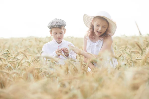 Πορτρέτο Του Χαρούμενος Αγόρι Και Κορίτσι Καπέλα Στέκεται Στον Τομέα — Φωτογραφία Αρχείου