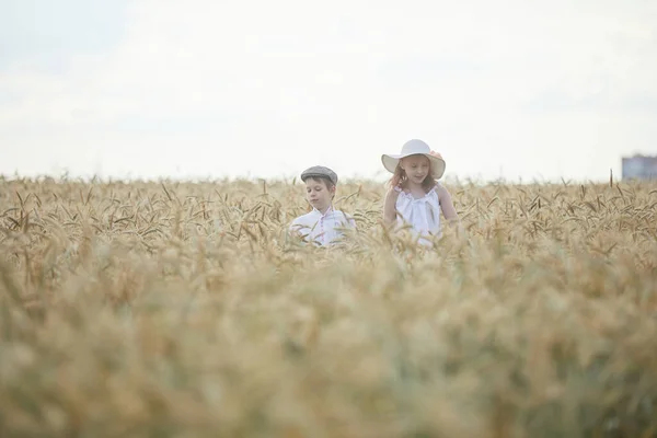 Portrait Happy Boy Girl Hats Standing Wheat Field — Stock Photo, Image