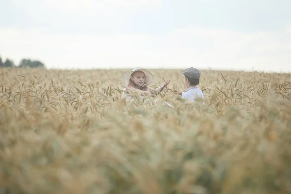 Portrait Happy Boy Girl Hat Standing Wheat Field — Stok Foto