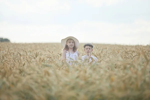Portret Băiat Fericit Fată Pălării Picioare Câmp Grâu — Fotografie, imagine de stoc