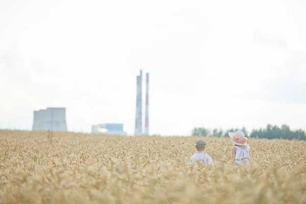 Buğday Tarlasında Duran Şapkalı Kız Oğlanın Arka Manzarası — Stok fotoğraf