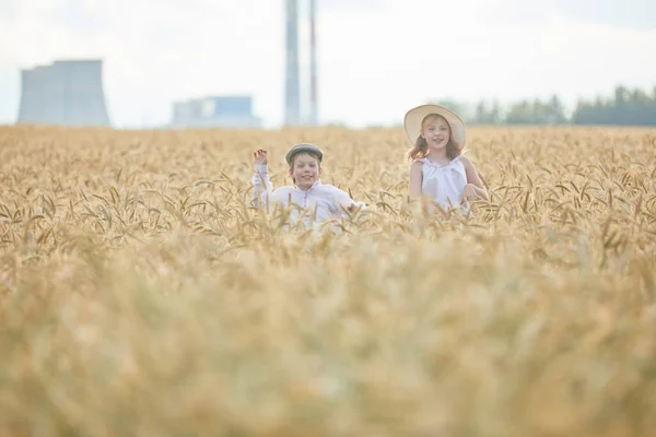 Portret Băiat Fericit Fată Pălării Picioare Câmp Grâu — Fotografie, imagine de stoc
