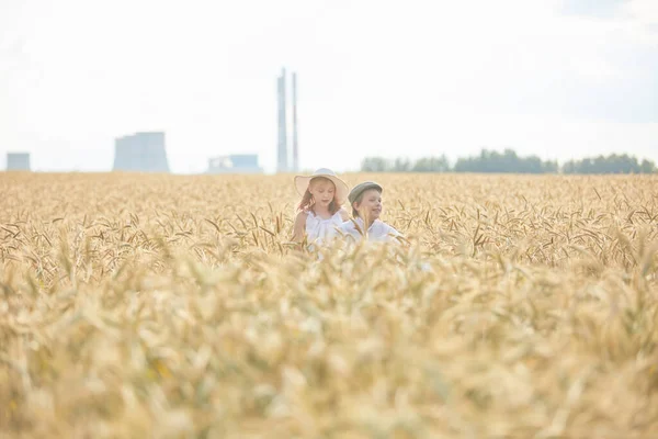 小麦畑に立つ帽子の幸せな男の子と女の子の肖像 — ストック写真