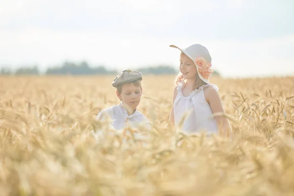 Portrait Happy Boy Girl Hats Standing Wheat Field — Stock Photo, Image