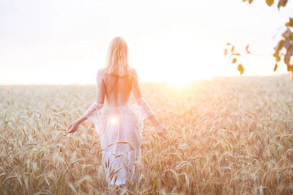 Zadní Pohled Bělošku Klobouku Pózující Pšeničném Poli Během Dne — Stock fotografie