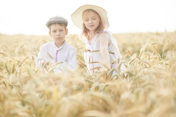 Портрет Счастливого Мальчика Девочки Шляпах Стоящих Пшеничном Поле Стоковое Изображение