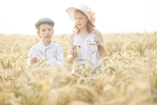 Портрет Счастливого Мальчика Девочки Шляпах Стоящих Пшеничном Поле Лицензионные Стоковые Фото