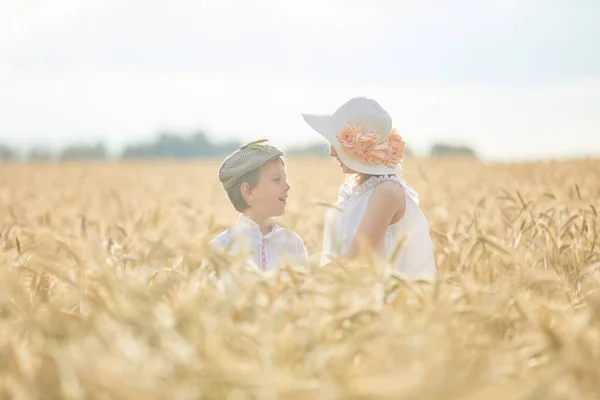 Портрет Счастливого Мальчика Девочки Шляпах Стоящих Пшеничном Поле Стоковое Изображение