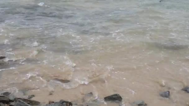 Spiaggia Oceanica Onde Tramonto — Video Stock