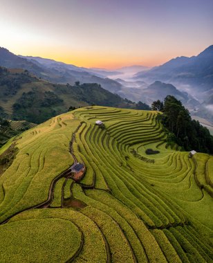 Pirinç tarlaları üzerinde Mu Cang Chai, Yenbai, Vietnam Teras. Kuzey Vietnam, hasat pirinç tarlaları hazırlamak.