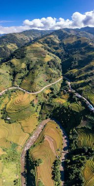 Pirinç tarlaları üzerinde Mu Cang Chai, Yenbai, Vietnam Teras. Kuzey Vietnam, hasat pirinç tarlaları hazırlamak.