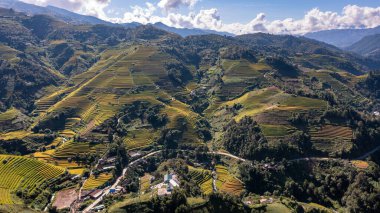 Pirinç tarlaları üzerinde Mu Cang Chai, Yenbai, Vietnam Teras. Kuzey Vietnam, hasat pirinç tarlaları hazırlamak.