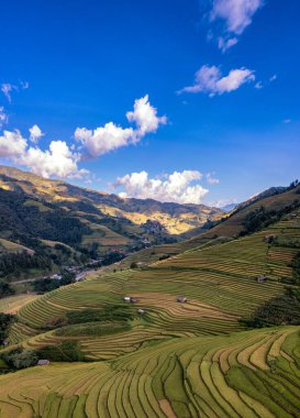 Pirinç tarlaları üzerinde Mu Cang Chai, Yenbai, Vietnam Teras. Kuzey Vietnam, hasat pirinç tarlaları hazırlamak.