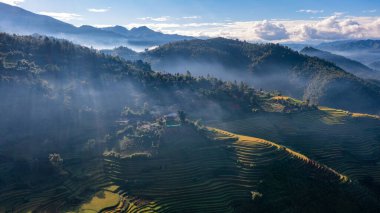 Pirinç tarlaları üzerinde Mu Cang Chai, Yenbai, Vietnam Teras. Kuzey Vietnam, hasat pirinç tarlaları hazırlamak.