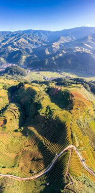 Pirinç tarlaları üzerinde Mu Cang Chai, Yenbai, Vietnam Teras. Kuzey Vietnam, hasat pirinç tarlaları hazırlamak.