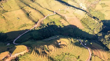 Pirinç tarlaları üzerinde Mu Cang Chai, Yenbai, Vietnam Teras. Kuzey Vietnam, hasat pirinç tarlaları hazırlamak.