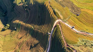 Pirinç tarlaları üzerinde Mu Cang Chai, Yenbai, Vietnam Teras. Kuzey Vietnam, hasat pirinç tarlaları hazırlamak.