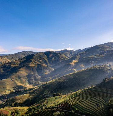 Pirinç tarlaları üzerinde Mu Cang Chai, Yenbai, Vietnam Teras. Kuzey Vietnam, hasat pirinç tarlaları hazırlamak.