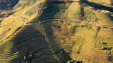 Pirinç tarlaları üzerinde Mu Cang Chai, Yenbai, Vietnam Teras. Kuzey Vietnam, hasat pirinç tarlaları hazırlamak.