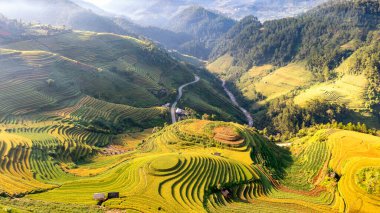 Pirinç tarlaları üzerinde Mu Cang Chai, Yenbai, Vietnam Teras. Kuzey Vietnam, hasat pirinç tarlaları hazırlamak.