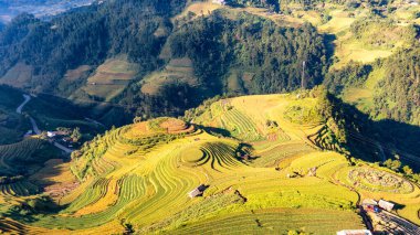 Pirinç tarlaları üzerinde Mu Cang Chai, Yenbai, Vietnam Teras. Kuzey Vietnam, hasat pirinç tarlaları hazırlamak.
