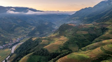 Pirinç tarlaları üzerinde Mu Cang Chai, Yenbai, Vietnam Teras. Kuzey Vietnam, hasat pirinç tarlaları hazırlamak.
