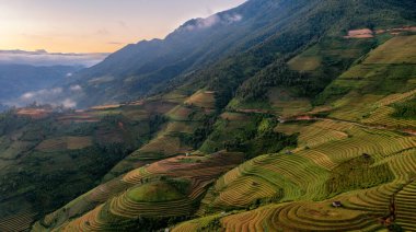 Pirinç tarlaları üzerinde Mu Cang Chai, Yenbai, Vietnam Teras. Kuzey Vietnam, hasat pirinç tarlaları hazırlamak.
