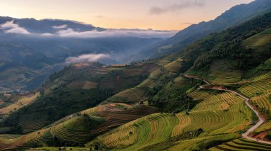 Pirinç tarlaları üzerinde Mu Cang Chai, Yenbai, Vietnam Teras. Kuzey Vietnam, hasat pirinç tarlaları hazırlamak.