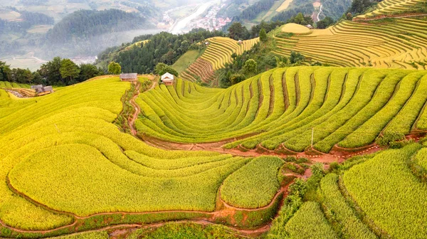 Pirinç Tarlaları Üzerinde Cang Chai Yenbai Vietnam Teras Kuzey Vietnam — Stok fotoğraf