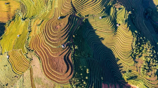Pirinç Tarlaları Üzerinde Cang Chai Yenbai Vietnam Teras Kuzey Vietnam — Stok fotoğraf
