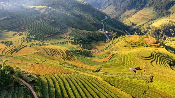 Stock image Rice fields on terraced of Mu Cang Chai, YenBai, Vietnam. Rice fields prepare the harvest at Northwest Vietnam.