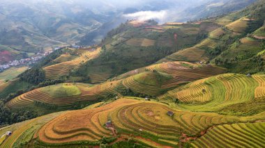 Pirinç tarlaları üzerinde Mu Cang Chai, Yenbai, Vietnam Teras. Kuzey Vietnam, hasat pirinç tarlaları hazırlamak.