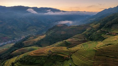 Pirinç tarlaları üzerinde Mu Cang Chai, Yenbai, Vietnam Teras. Kuzey Vietnam, hasat pirinç tarlaları hazırlamak.