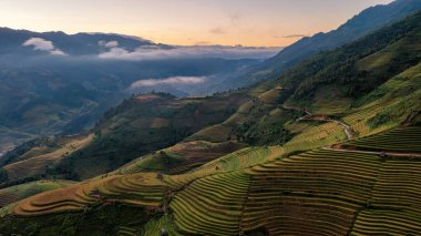 Pirinç tarlaları üzerinde Mu Cang Chai, Yenbai, Vietnam Teras. Kuzey Vietnam, hasat pirinç tarlaları hazırlamak.