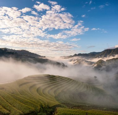 Pirinç tarlaları üzerinde Mu Cang Chai, Yenbai, Vietnam Teras. Kuzey Vietnam, hasat pirinç tarlaları hazırlamak.