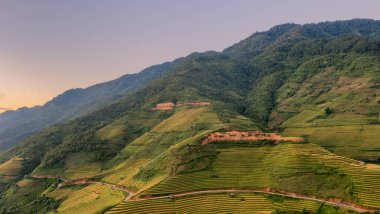 Pirinç tarlaları üzerinde Mu Cang Chai, Yenbai, Vietnam Teras. Kuzey Vietnam, hasat pirinç tarlaları hazırlamak.