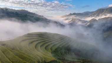 Pirinç tarlaları üzerinde Mu Cang Chai, Yenbai, Vietnam Teras. Kuzey Vietnam, hasat pirinç tarlaları hazırlamak.
