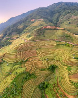 Pirinç tarlaları üzerinde Mu Cang Chai, Yenbai, Vietnam Teras. Kuzey Vietnam, hasat pirinç tarlaları hazırlamak.