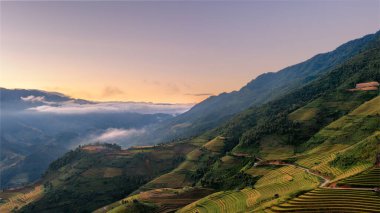 Pirinç tarlaları üzerinde Mu Cang Chai, Yenbai, Vietnam Teras. Kuzey Vietnam, hasat pirinç tarlaları hazırlamak.