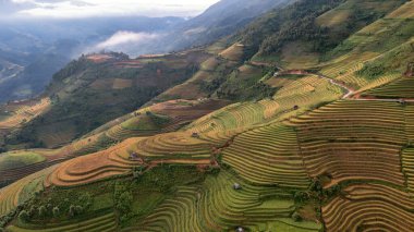 Pirinç tarlaları üzerinde Mu Cang Chai, Yenbai, Vietnam Teras. Kuzey Vietnam, hasat pirinç tarlaları hazırlamak.