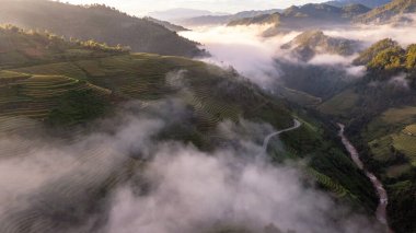 Pirinç tarlaları üzerinde Mu Cang Chai, Yenbai, Vietnam Teras. Kuzey Vietnam, hasat pirinç tarlaları hazırlamak.